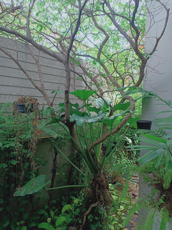 Sri Ngachang Chiang Mai Zewnętrze zdjęcie